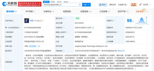 京東科技控股資本增至約53億元，強(qiáng)化信息咨詢服務(wù)布局